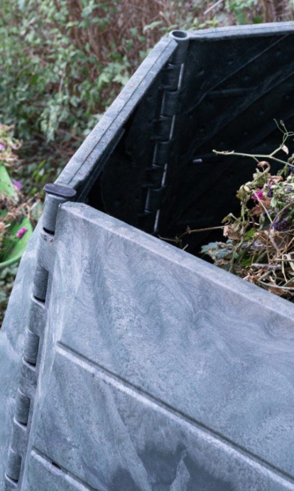 Yabani Otlarımı Kompostlayabilir miyim – Yabani Otları Kompost Kutusuna Koymak