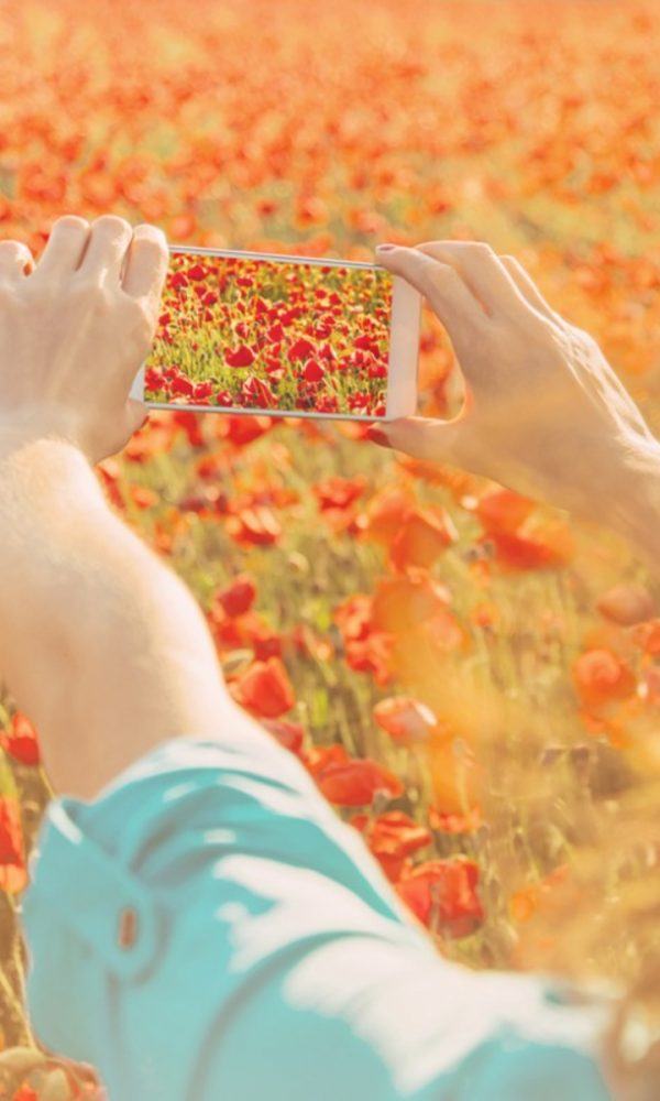 Bitki Fotoğrafçılığının İpuçları – İyi Bitki Fotoğrafları Nasıl Çekilir