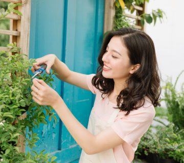 İkinci Yıl Bahçe İpuçları – İkinci Kez Bahçecilik Yaparken Yapmanız Gerekenler