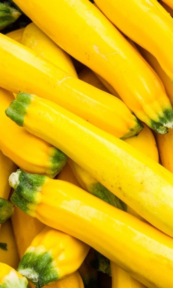 Bazı Sarı Sebzeler Nelerdir – Büyüyen Sarı Sebzeler