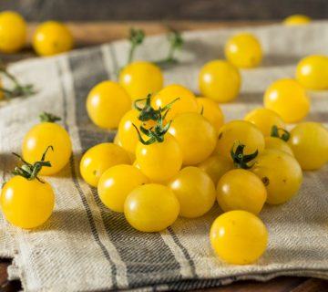 Sarı Domates Çeşit Bilgisi – Sarı Meyveli Domates Yetiştiriciliği
