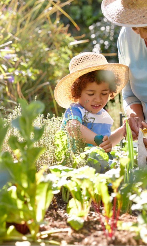 Spring Garden Kontrol Listesi – Bahar İçin Bahçe Görevleri
