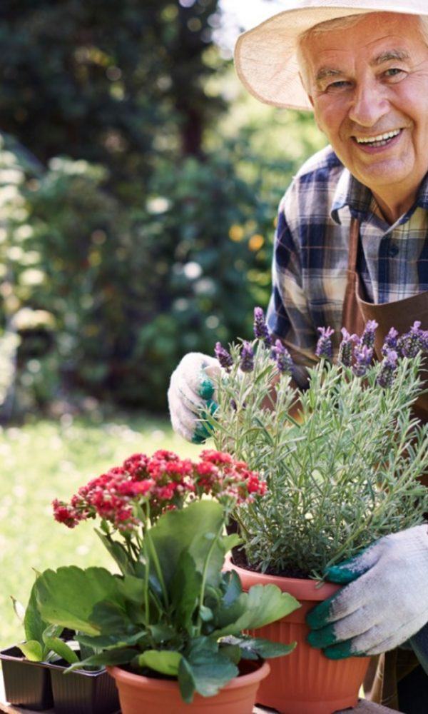 Bahçe Aletleri Ve Artrit – Artritli Eller İçin Bahçe Aletleri