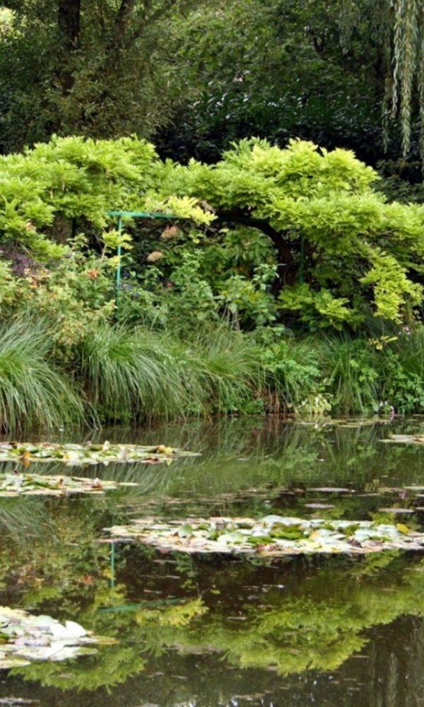 Monet Gibi Bahçe Nasıl Yapılır – Monet'nin Bahçesinden Ne Öğrenebiliriz?