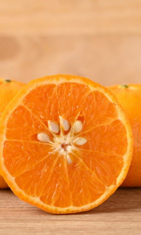 Mağazada Satın Alınan Portakalları Yetiştirebilir misiniz – Bakkal Portakal Tohumları Dikim