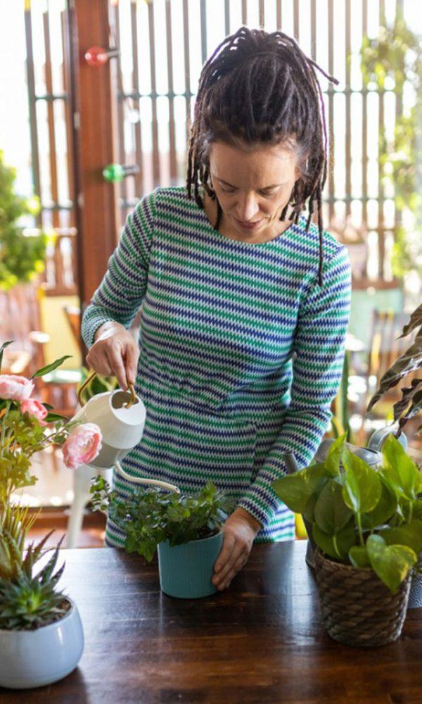 İç Mekan Bitki Sorunları: İnsanların Ev Bitkileriyle Yaptığı Hatalar