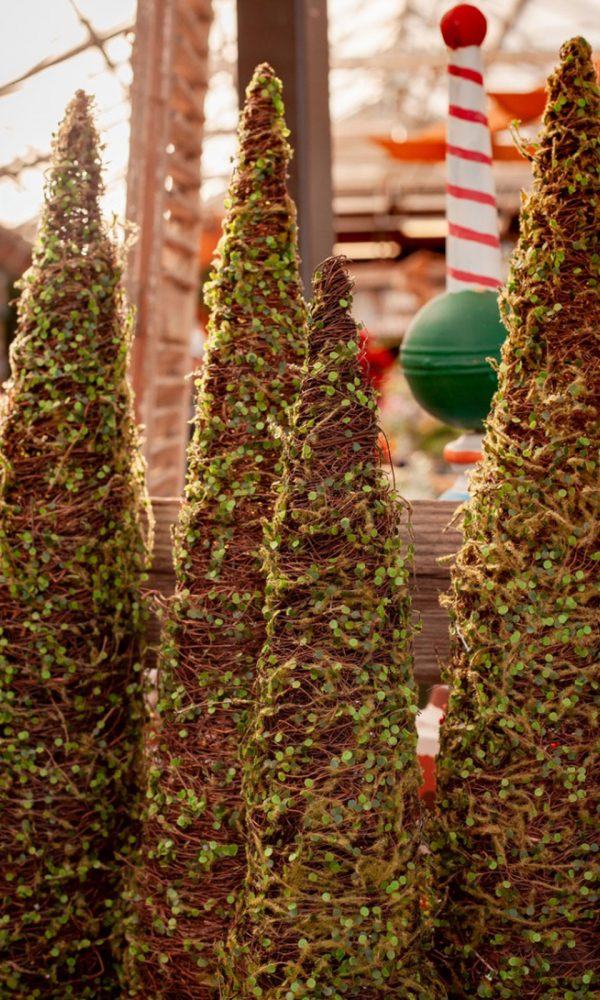 Noel Topiary Fikirleri: Noel Topiaries için En İyi Bitkiler