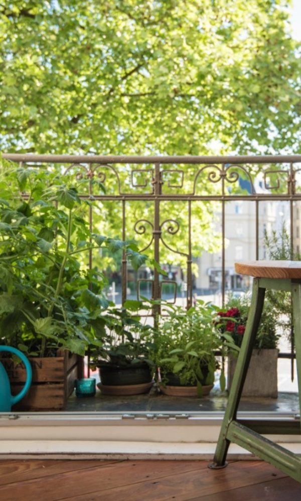 Balkon Bahçe Fikirleri – Balkonda Bahçecilik İçin İpuçları