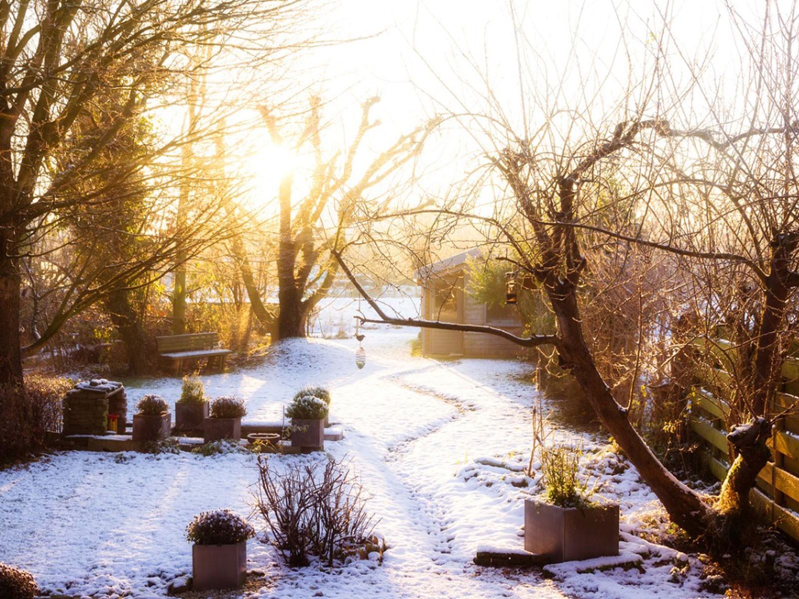 Kış Bahçesi Yapılması ve Yapılmaması Gerekenler – Kışın Bir Bahçede Ne Yapmalı