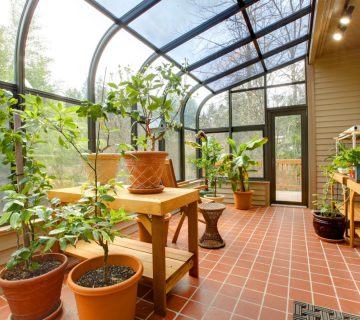 Kış Sunroom Sebzeleri: Kışın Sunroom Bahçesi Dikmek