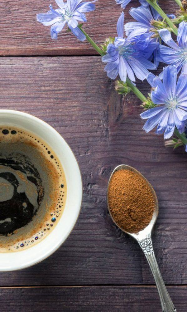 Alternatif Kahve Bitkileri: Kahveye Kendi İkamelerinizi Yetiştirin