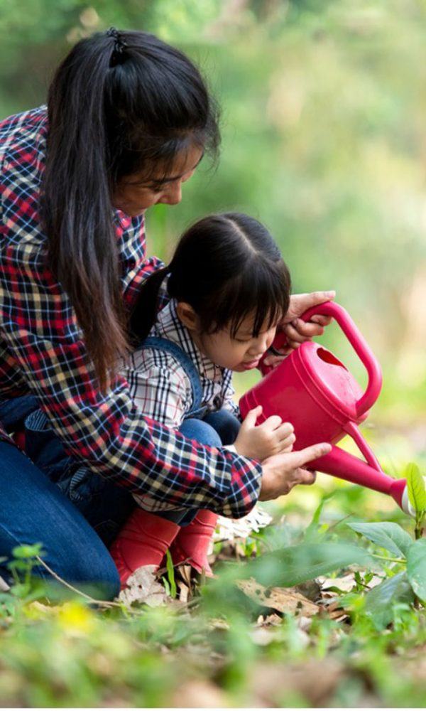 Yeni Başlayanlar İçin Bahçe İpuçları: Bahçıvanlığa Başlarken